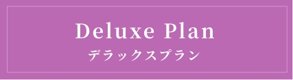 デラックスプラン